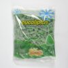 Caramelos Duro Triángulo Sabor Eucaliptus x700grs